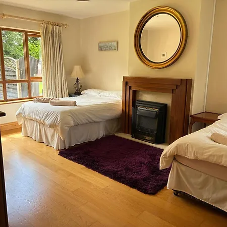 Borodino * Enniscorthy