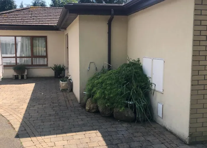 Borodino Enniscorthy